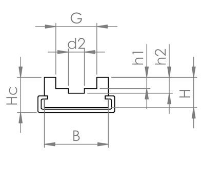 Profile 7